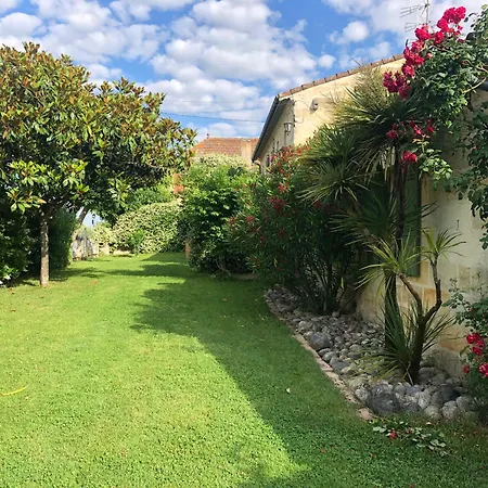 Saint-emilion * Vignonet